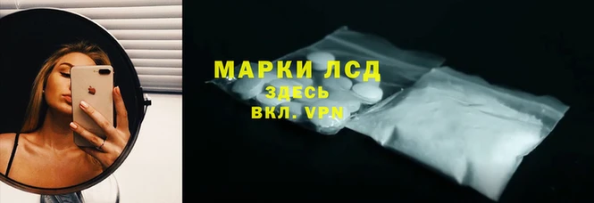 стафф Медвежьегорск