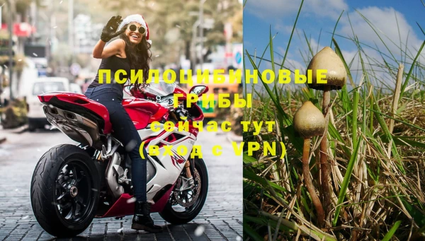 бутират Мегион