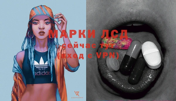 стафф Медвежьегорск