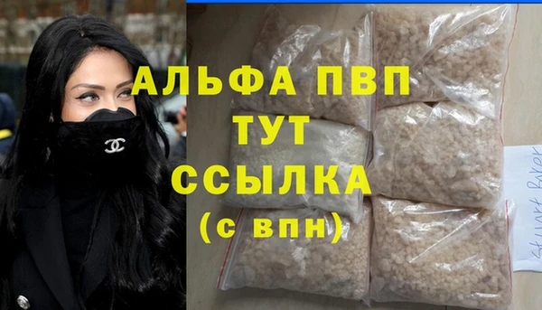 стафф Медвежьегорск