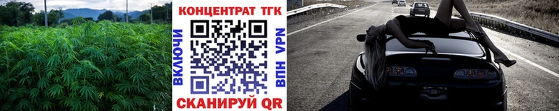 shop как зайти  Звенигород  Дистиллят ТГК гашишное масло 