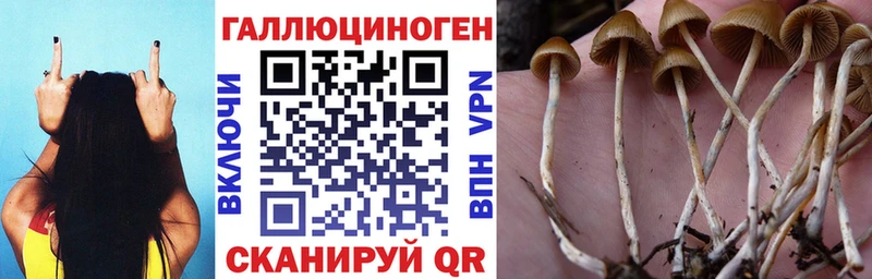 OMG зеркало  Звенигород  Псилоцибиновые грибы ЛСД 