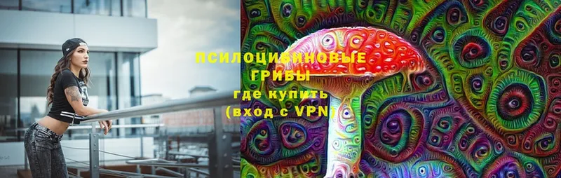 Галлюциногенные грибы прущие грибы  площадка формула  Звенигород 