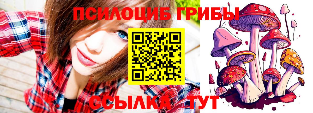 A PVP Звенигород