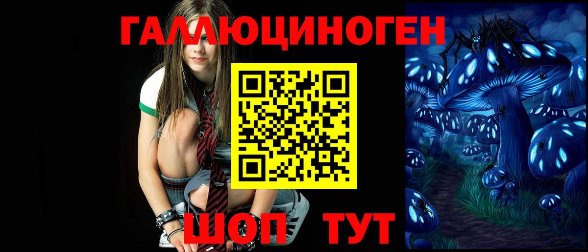 Псилоцибиновые грибы мицелий Звенигород